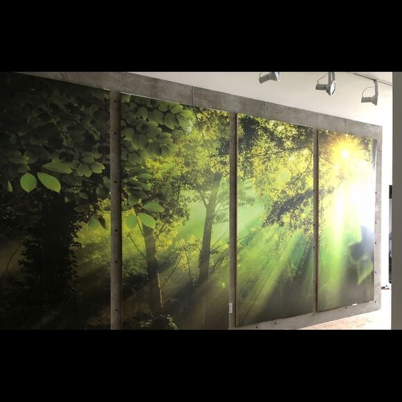 Stunning X-Large Wild Jungle Wall Art Panels 3*5ft